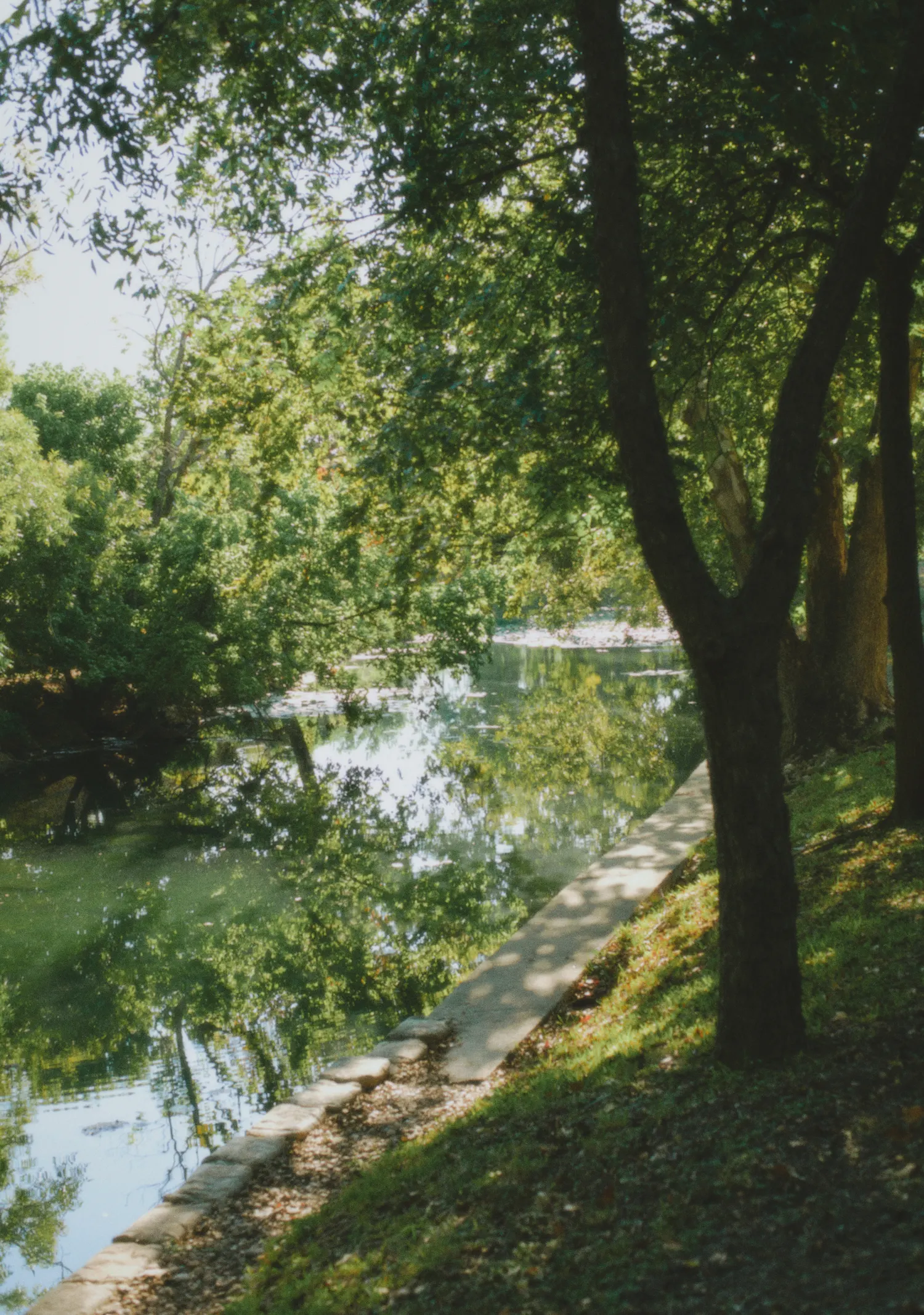 Stone path under pecan trees along the Comal, Petit Cowboy