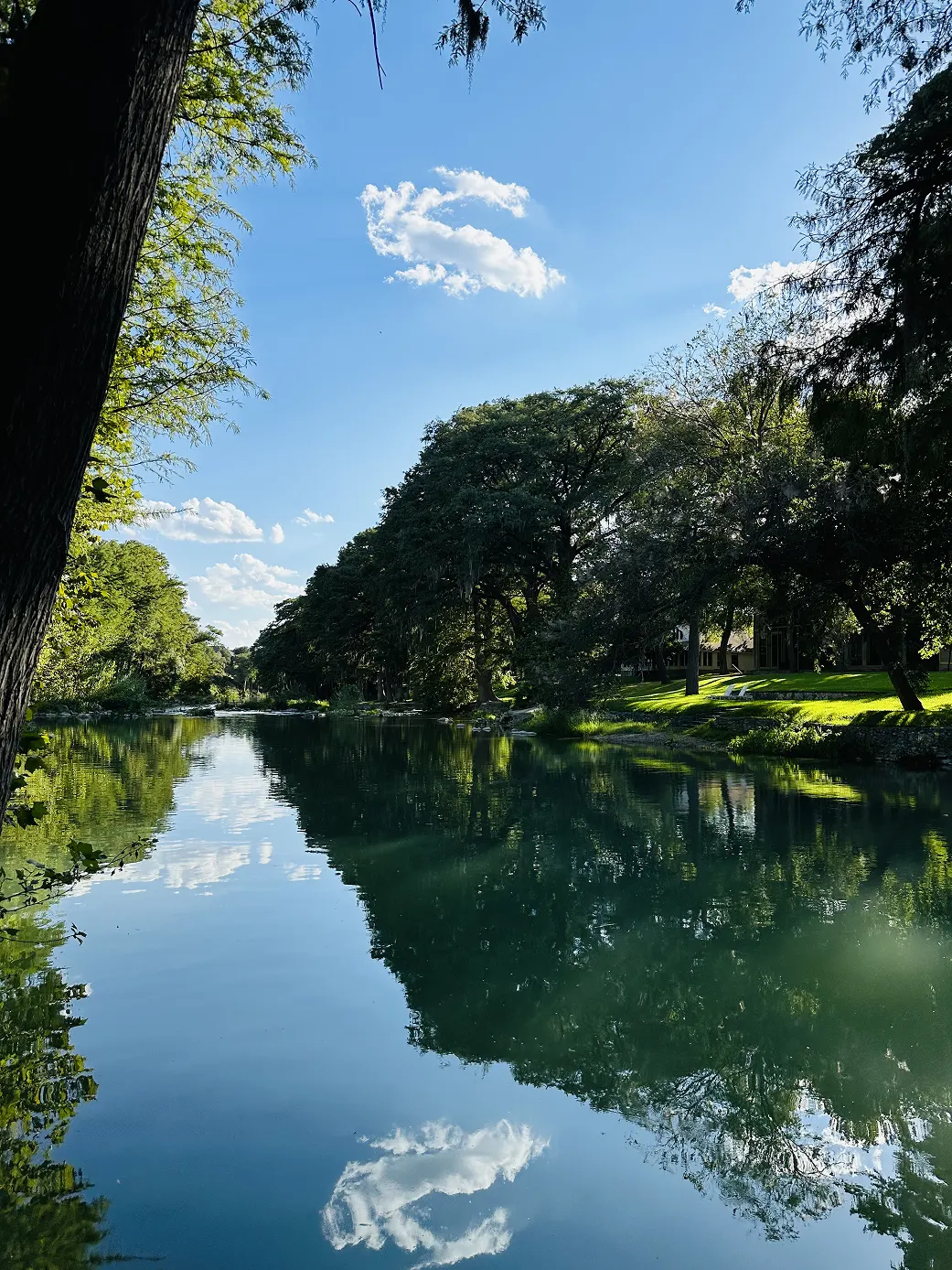 The river reflecting cypress trees and clouds on a clear day, Hacienda del Rio